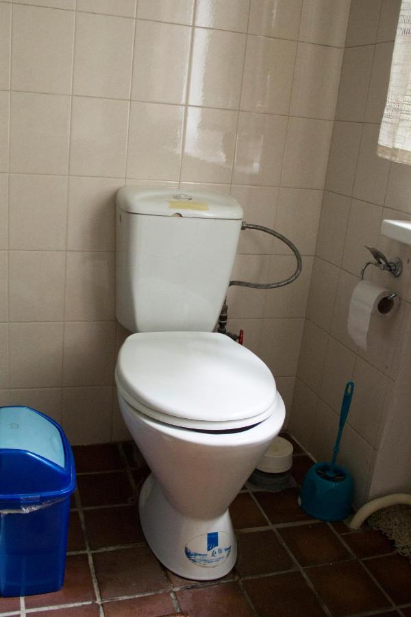 Guest House On Maksimova 9 Almaty Bagian luar foto
